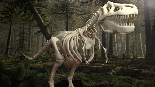 T-REX Dino TRex, Bones, Skeleton preview image